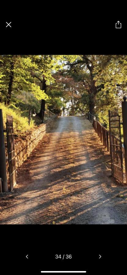 Casa Orma Daire Rapolano Terme Dış mekan fotoğraf